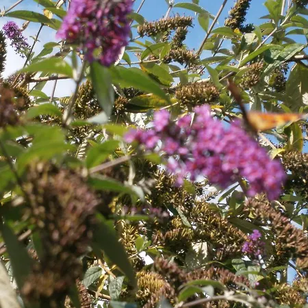 Aux Sources De L'ancre 3*