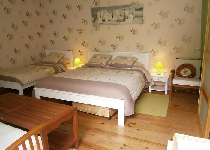 Aux Sources De L'ancre