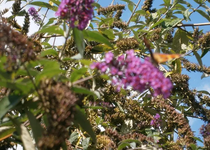 Aux Sources De L'ancre 3*